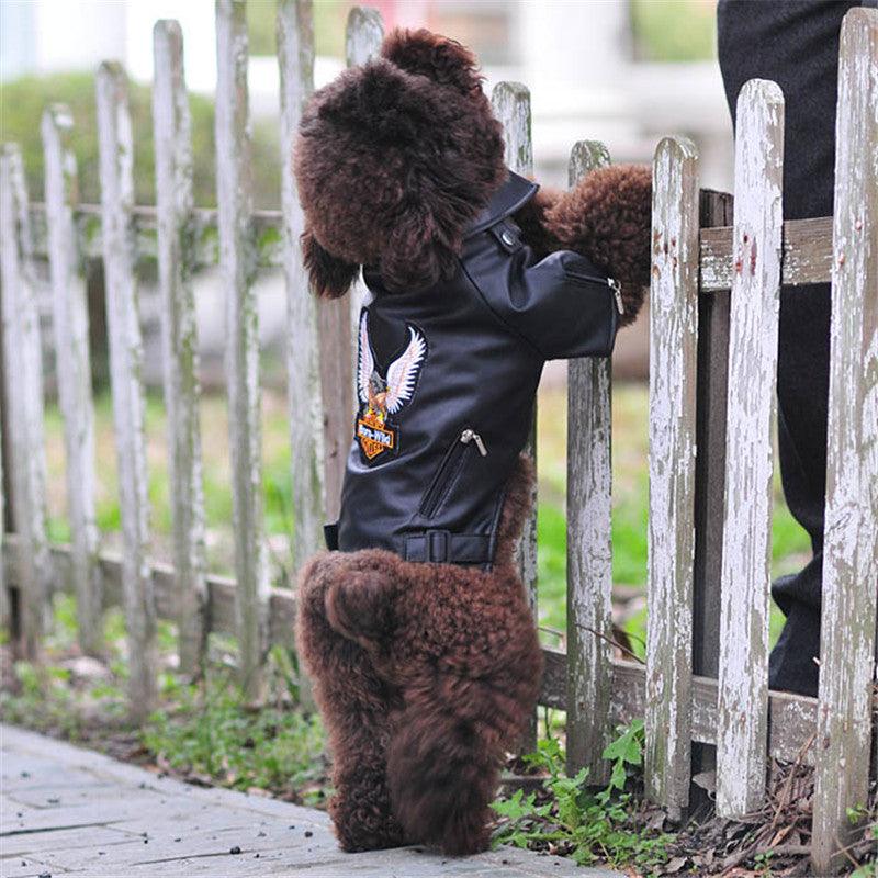 Luxury Leather Dog Coat - Chic And Stylish Pet Outerwear-3