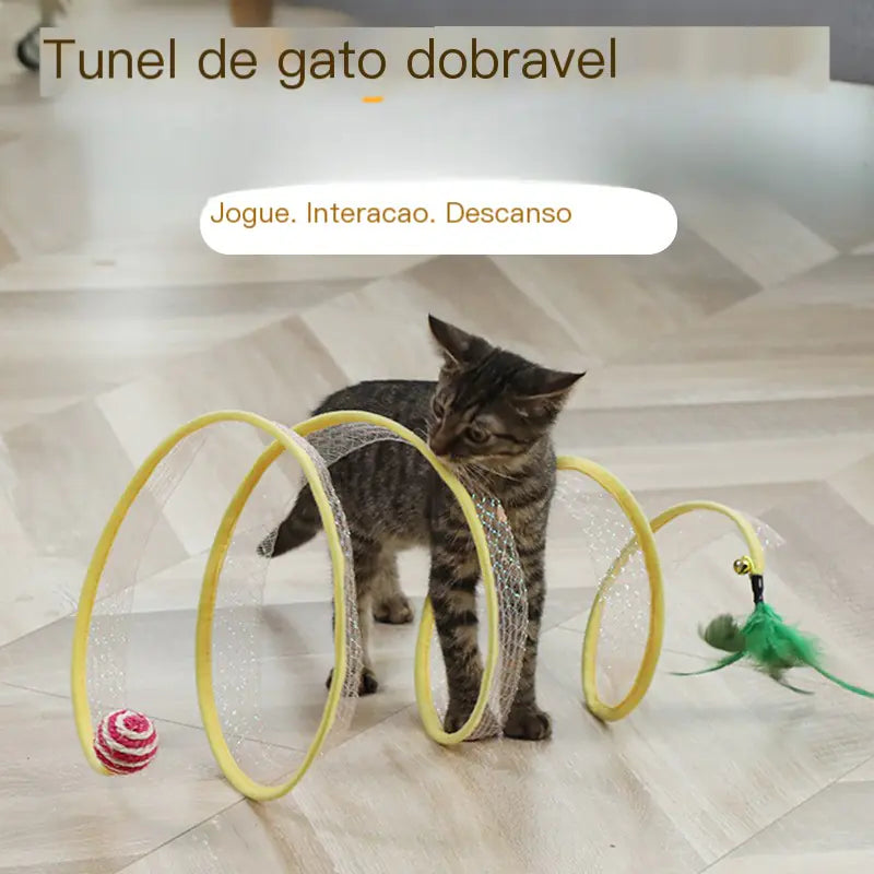 S-Curve Adventure Cat Tunnel