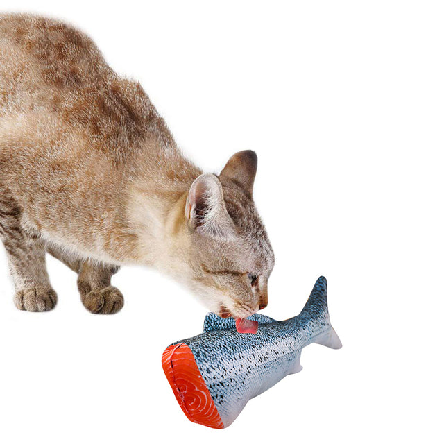 Playful Fish Cat Toy