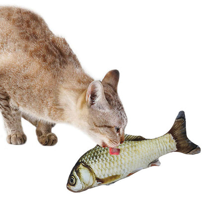 Playful Fish Cat Toy