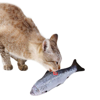 Playful Fish Cat Toy