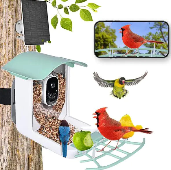 EcoSmart Solar Bird Feeder Cam