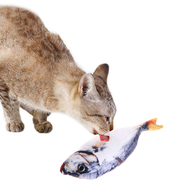 Playful Fish Cat Toy