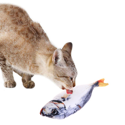 Playful Fish Cat Toy