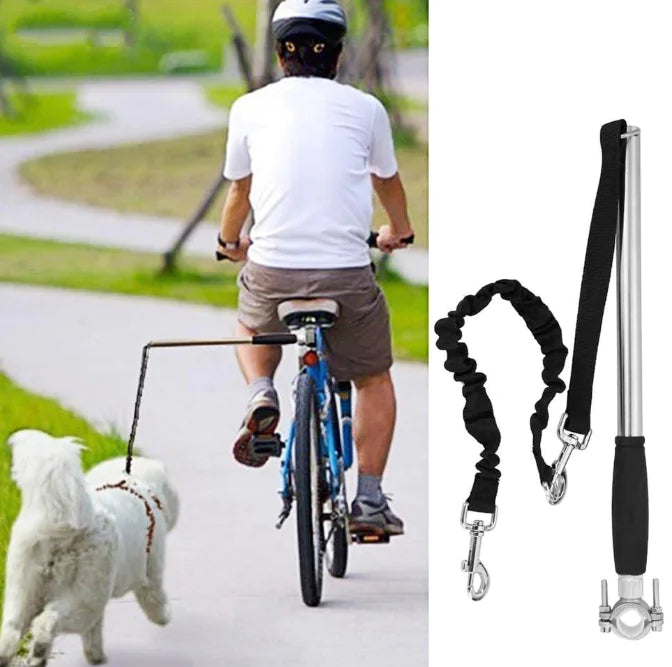 Cycle Pup Safeguard Leash