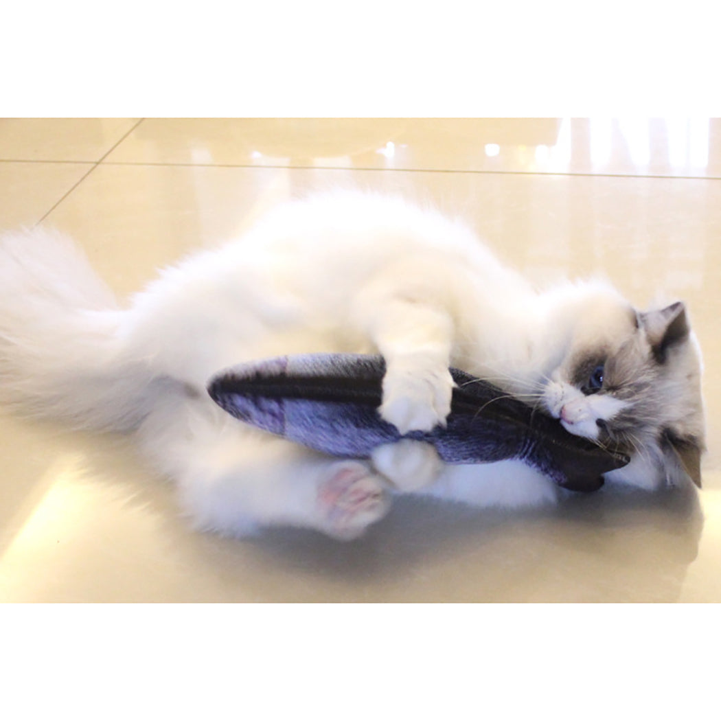 Playful Fish Cat Toy