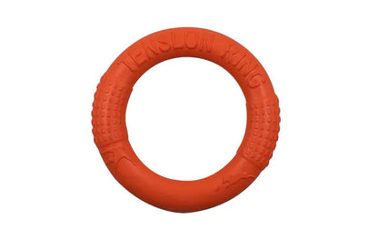 FetchMaster Floating Dog Trainer