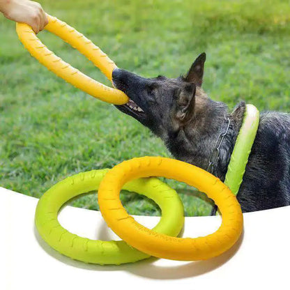 FetchMaster Floating Dog Trainer