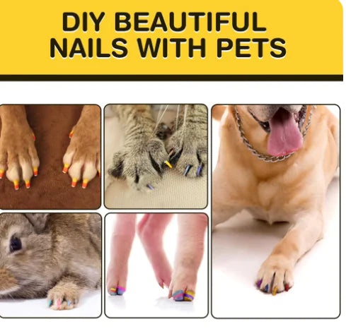 Pet Nail Art Marker