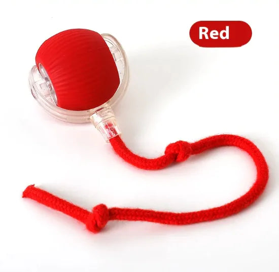 Chirping Sensor Cat Play Balls