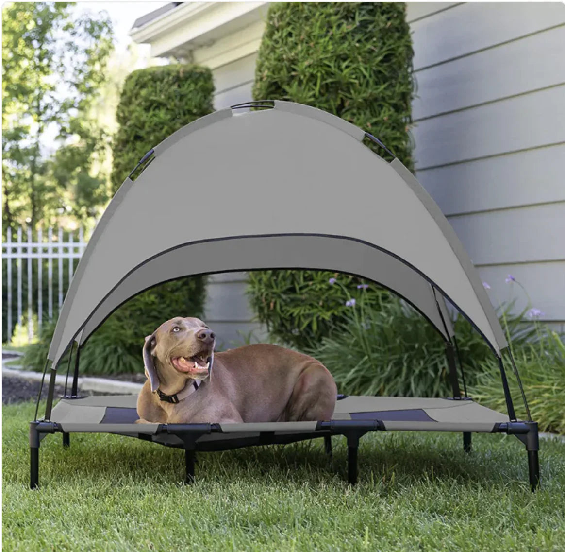 Airy Dual-Layer Durable Tent