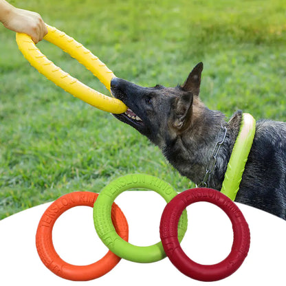 FetchMaster Floating Dog Trainer