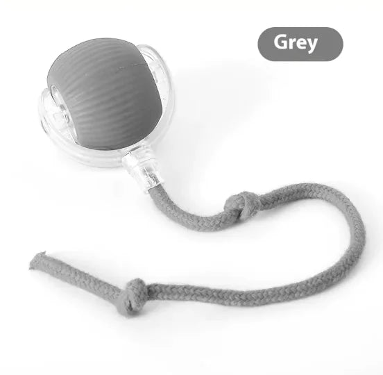 Chirping Sensor Cat Play Balls