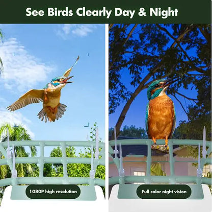 EcoSmart Solar Bird Feeder Cam