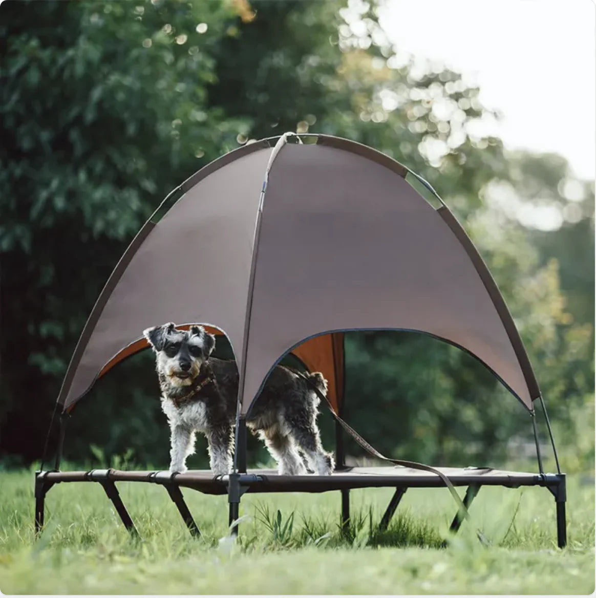 Airy Dual-Layer Durable Tent