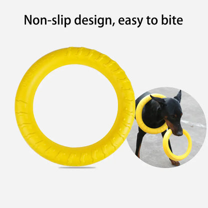 FetchMaster Floating Dog Trainer