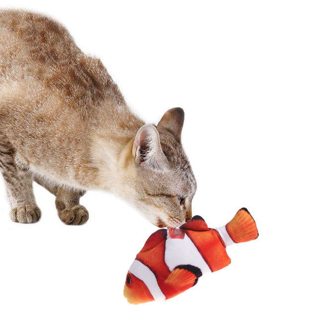 Playful Fish Cat Toy