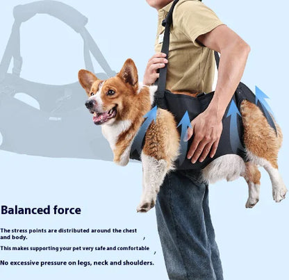 Dog Recovery Support Travel Strap