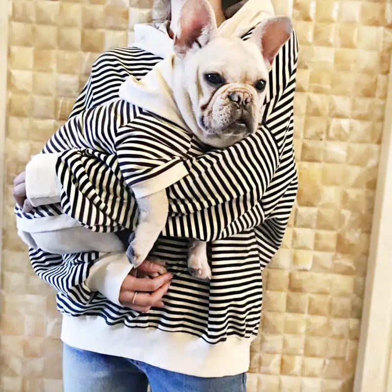Petite Pooch Terry Sweater