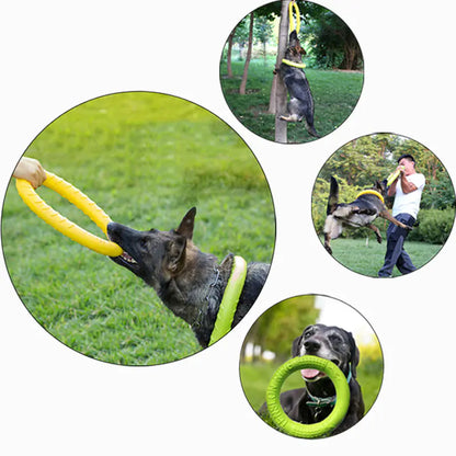 FetchMaster Floating Dog Trainer