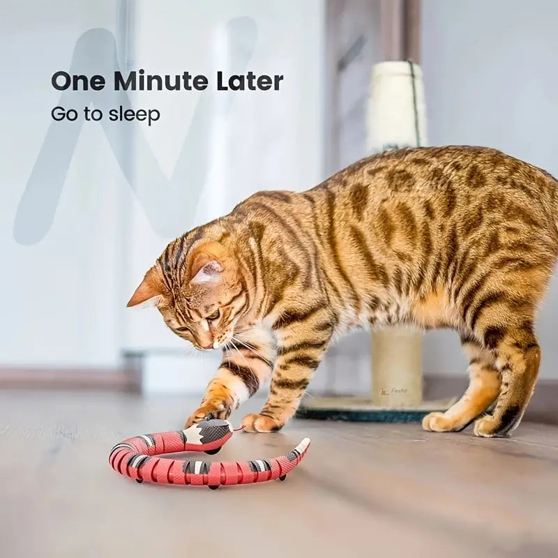 USB Rechargeable Cat Snake Toy - Active Fun