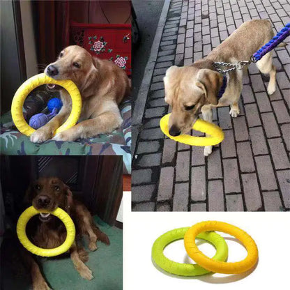 FetchMaster Floating Dog Trainer