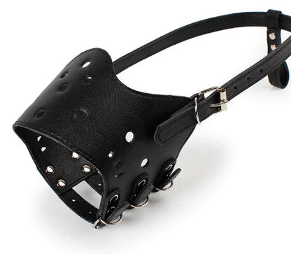 Bark-Control & No-Bite Dog Mask