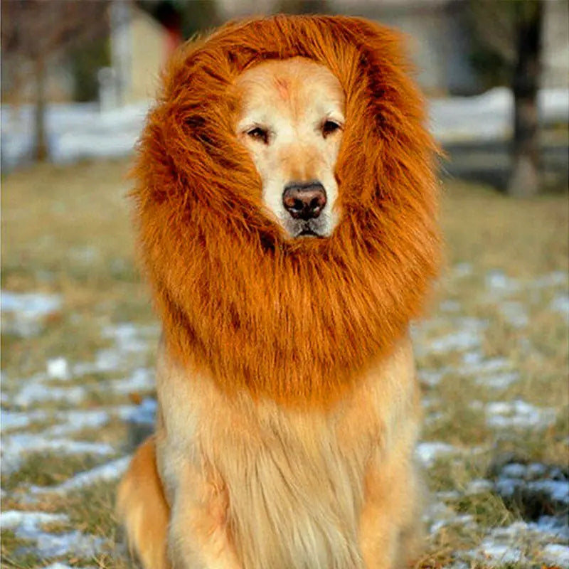 Lion Mane Dog Wig