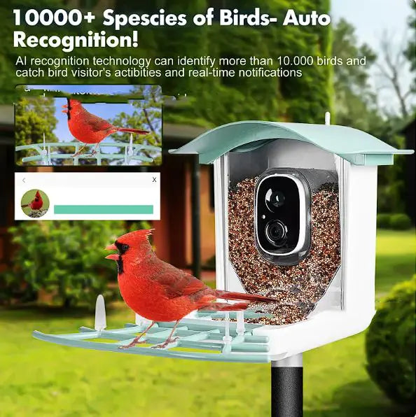 EcoSmart Solar Bird Feeder Cam