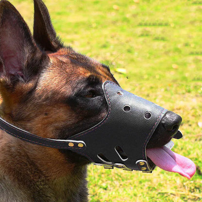 Bark-Control & No-Bite Dog Mask