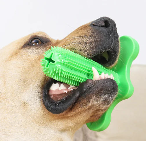 ChewPal Cactus Molar Toy for Dogs